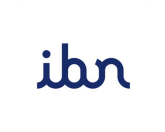 Logo IBN